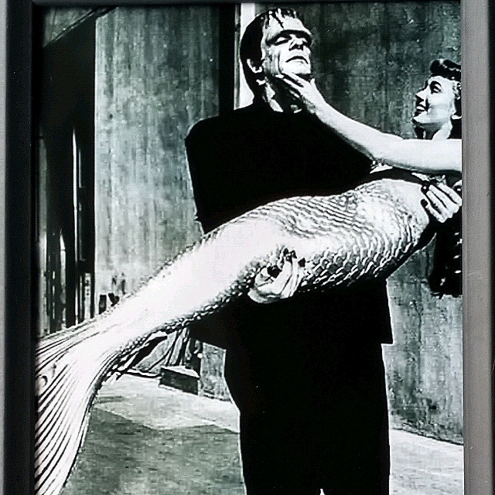 Frankenstein Mermaid Monster universal beautiful woman Fun funny retro frame pho - Picture 9 of 9